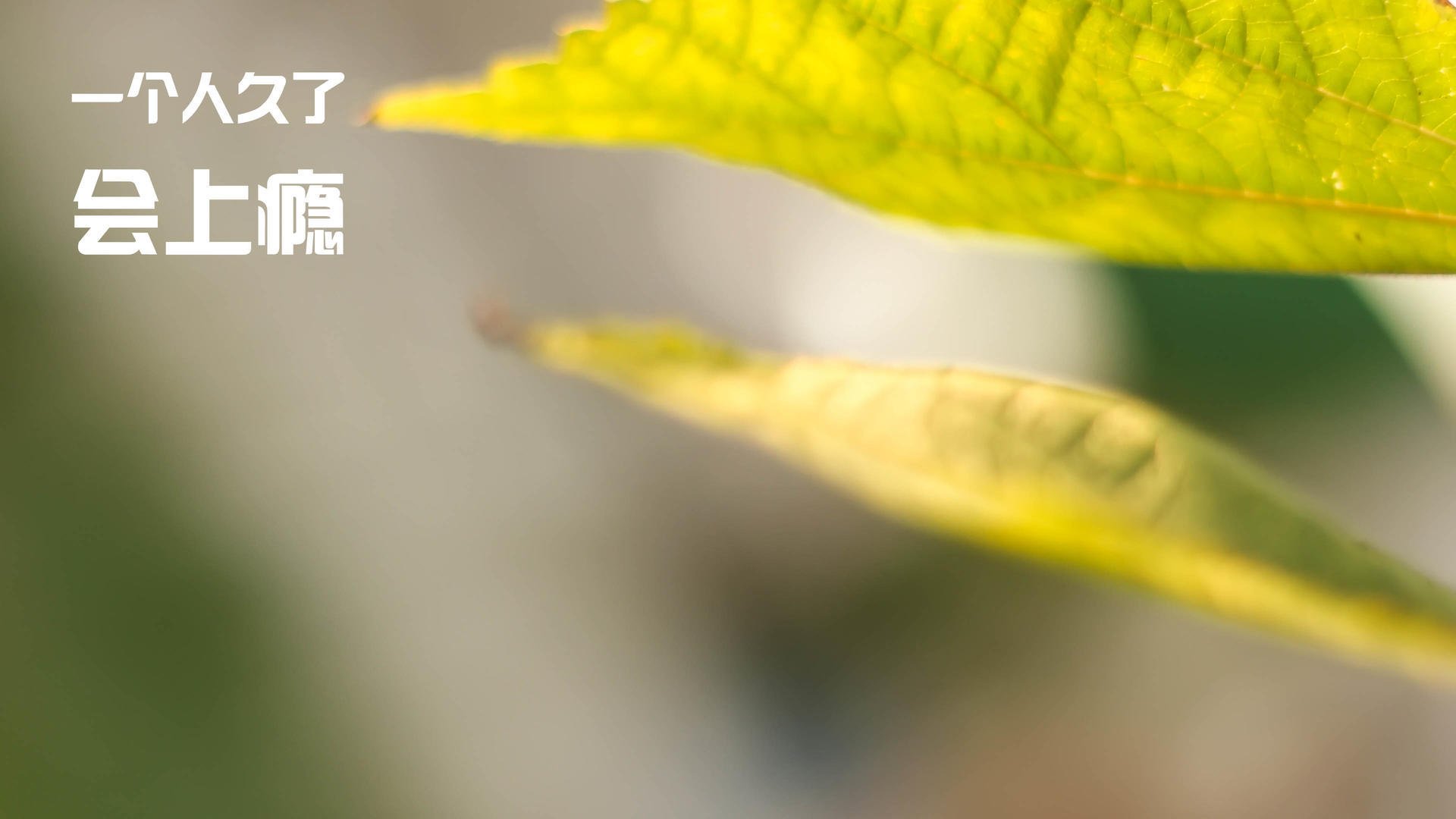 “西甲焦点对决:豪门对攻拼拼尽全力”,西甲豪门有哪些