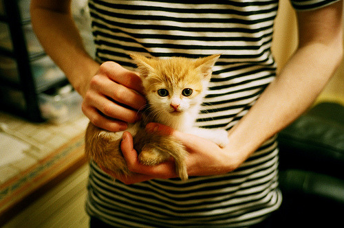 开云官方网站-《玩家群像：最受欢迎的电竞偶像是谁？》，玩家电竞app