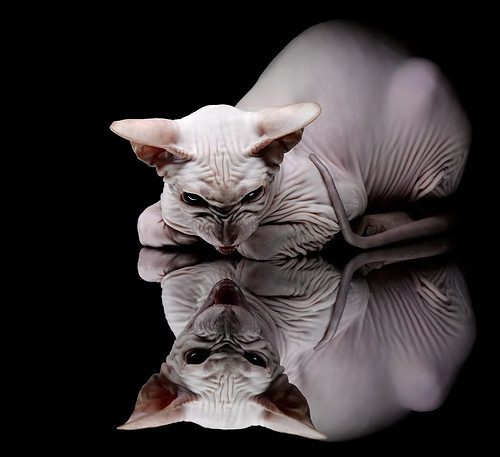 库里:一场场“远投”让全联盟为之侧目!,库里运球投篮集锦