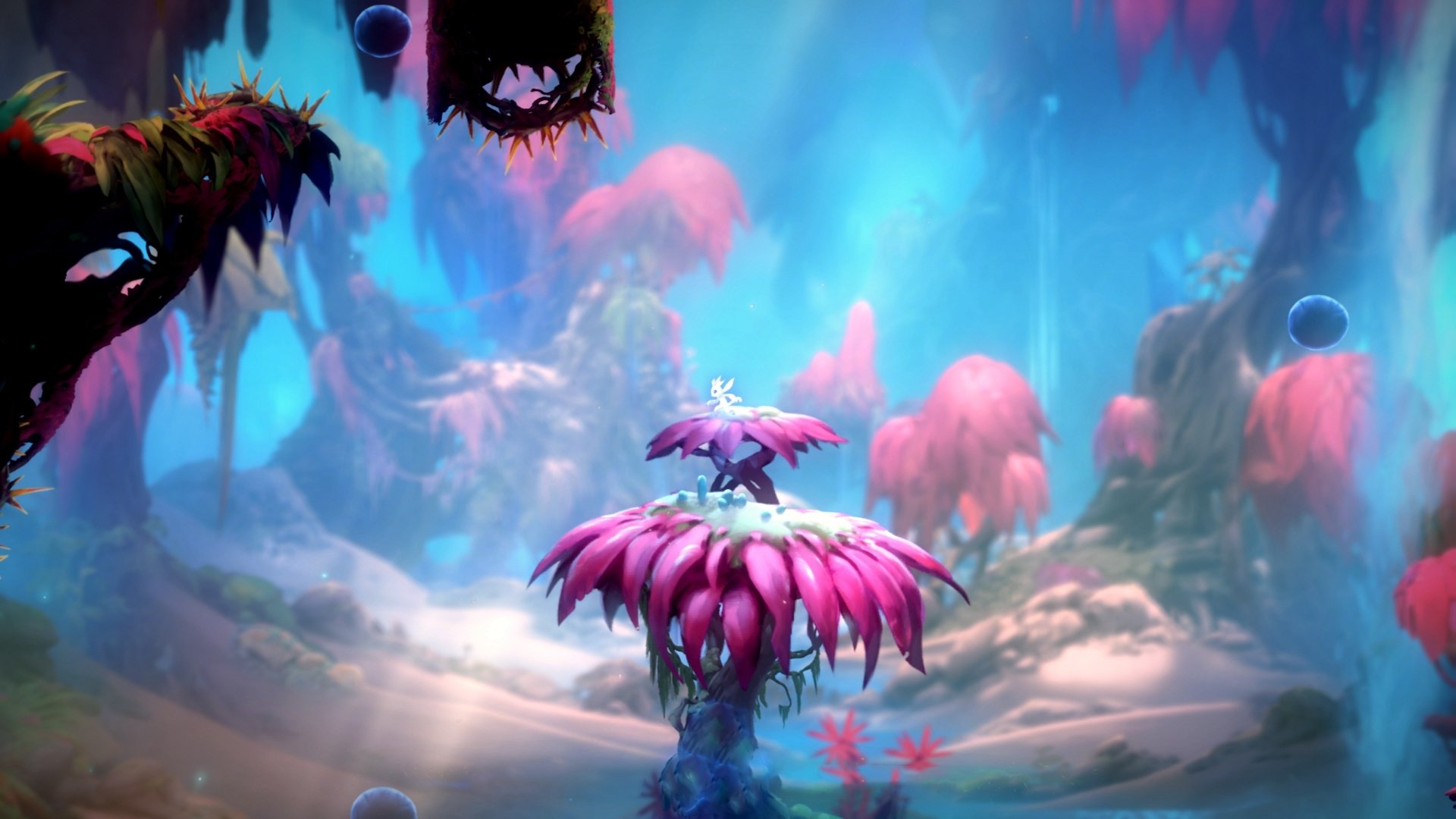 广场舞成为城市文化名片,广场舞是城市文化的组成部分小作文