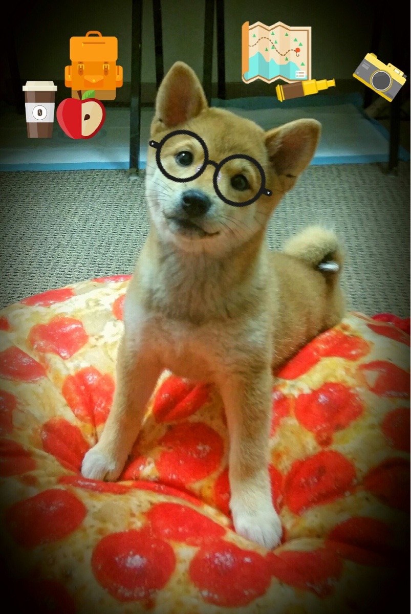 球员精英:联盟最全能的超级球星合集,现役精英球星包