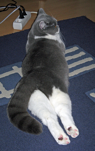 绝地求生 国际赛事影响力扩大,绝地求生国际赛事赛程2021