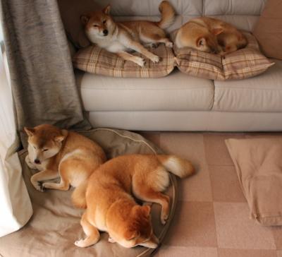 G联赛球员交易引关注,g联赛官网