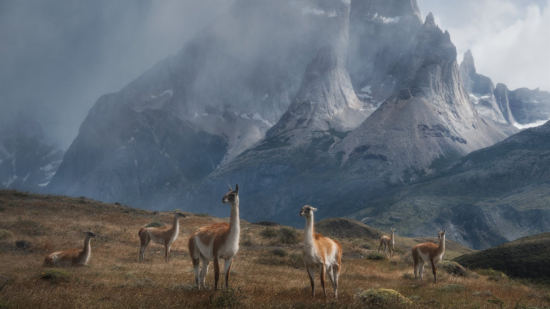 中国足球的职业联赛薪酬体系,中国足球工资表