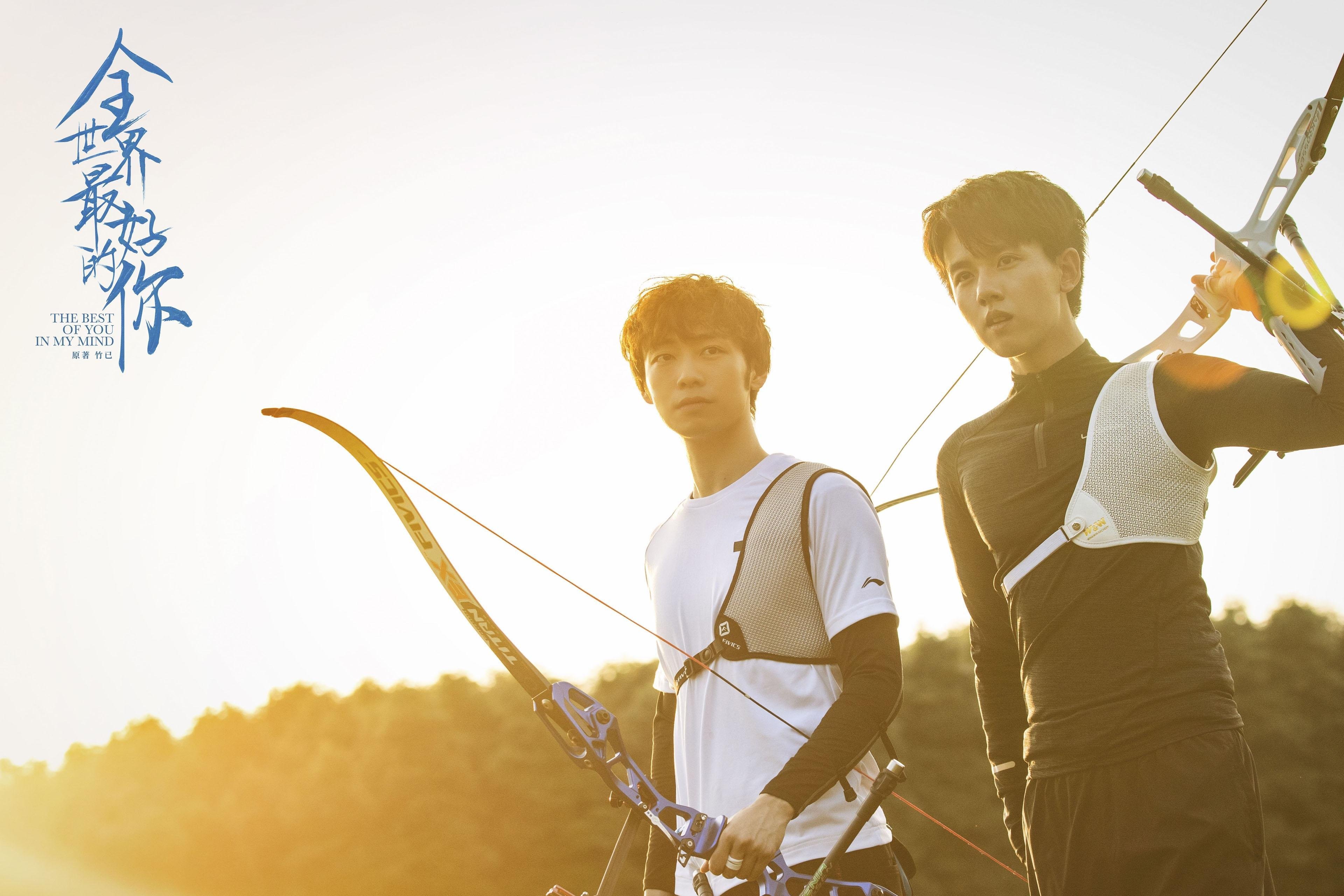 开云中国-伊朗马术协会推出马匹健康管理系统，提升马匹福利。，伊朗 马赛克