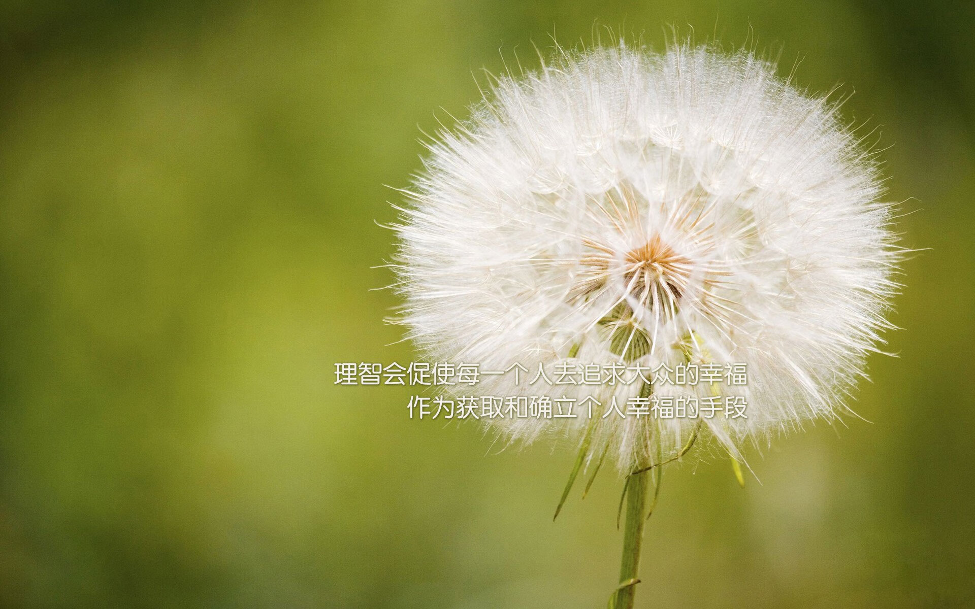 利兹联主场迎战埃弗顿,双方实力对比如何?,利兹联对埃弗顿预测