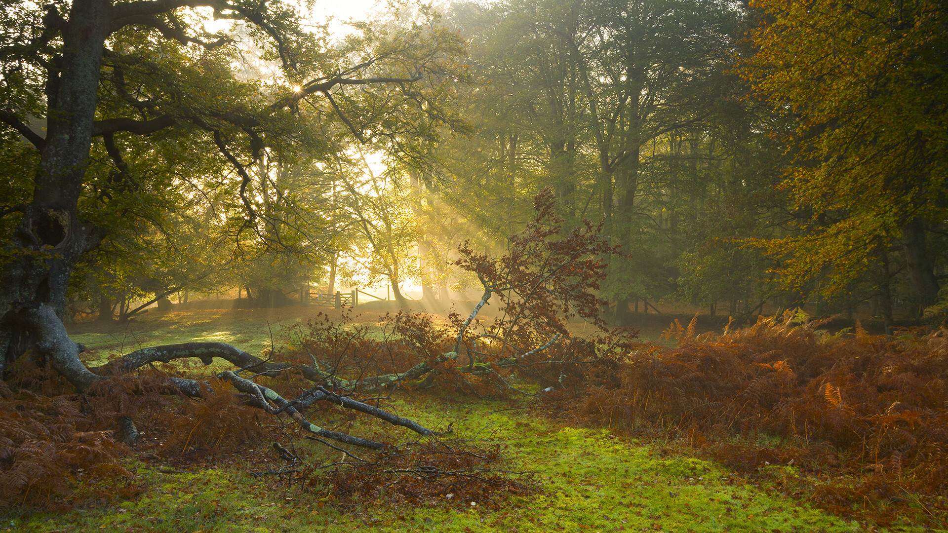 kaiyun登录入口-利物浦-击败AC米兰，逆转胜利令球迷振奋，利物浦对ac米兰大名单