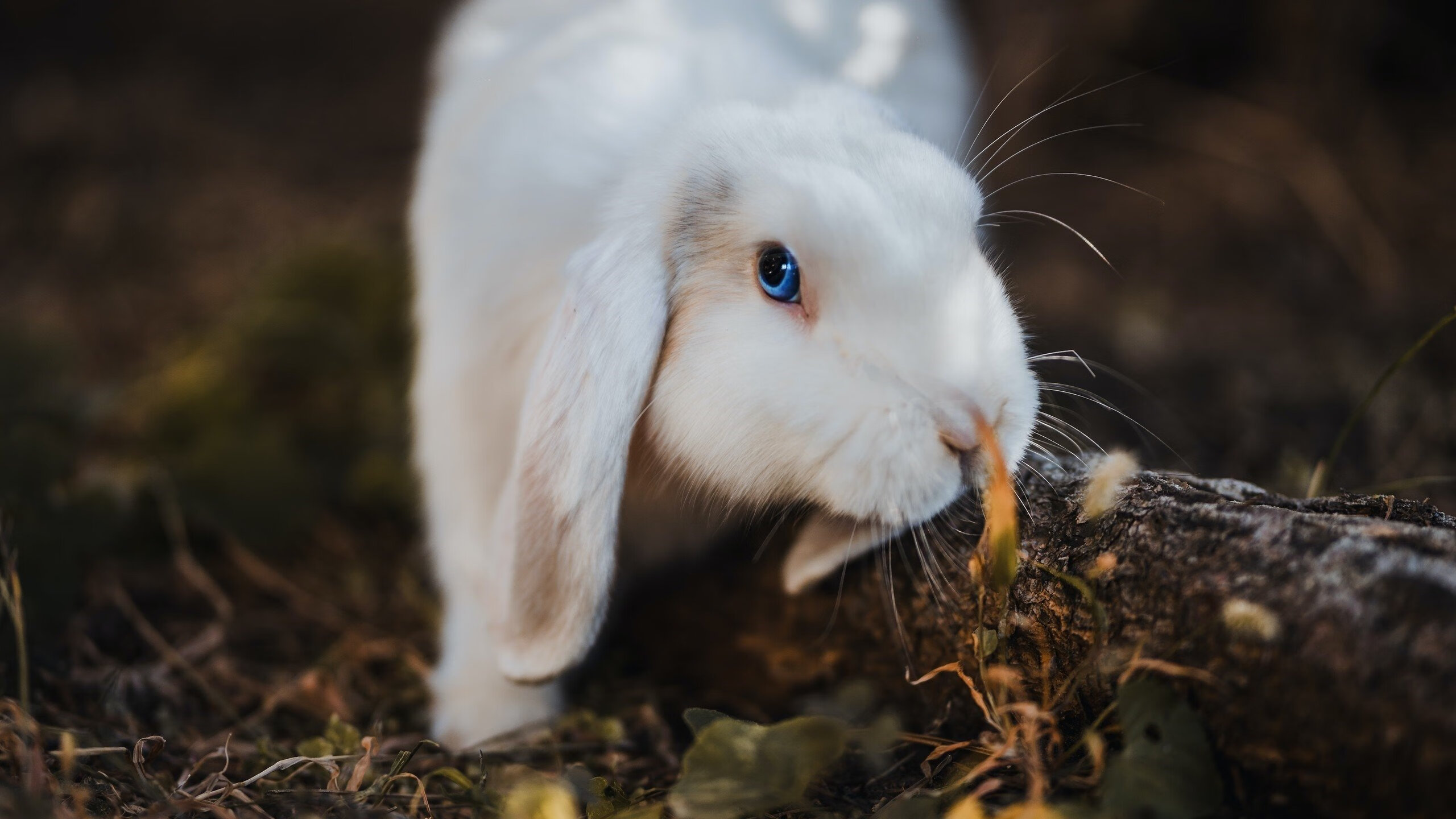 原州东浦新世代关键时刻发挥出色