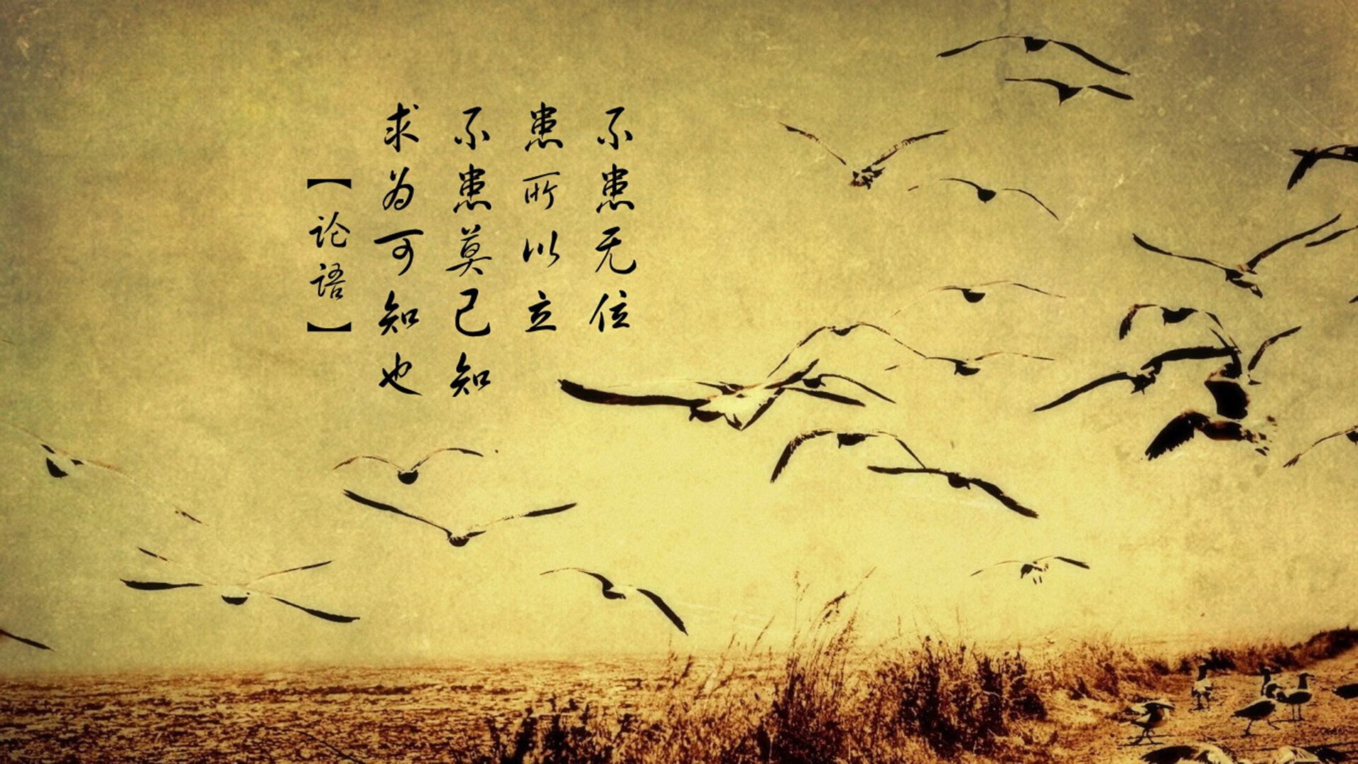 卢森堡出其不意地逆袭,展现实力优势,为什么卢森堡这么有钱